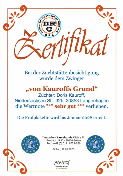 zertifikat-von-kauroffs-grund Zertifikat des Deutschen Rassehunde Club e.V. für den Zwinger „von Kauroffs Grund" – Züchterin Doris Kauroff, Langenhagen – Wertnote: sehr gut, gültig bis Januar 2028.